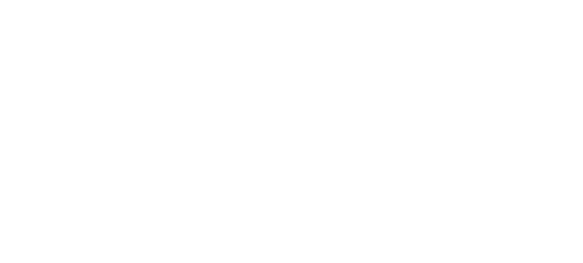 Logo WEB-11